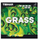 Tibhar Grass Defensive 
